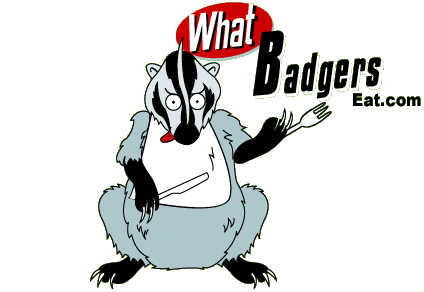 What Badgers Eat 